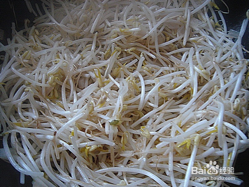 葱香绿豆芽——舌尖上的家常味道