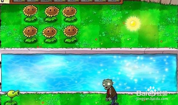 植物大战僵尸泳池5-6关攻略