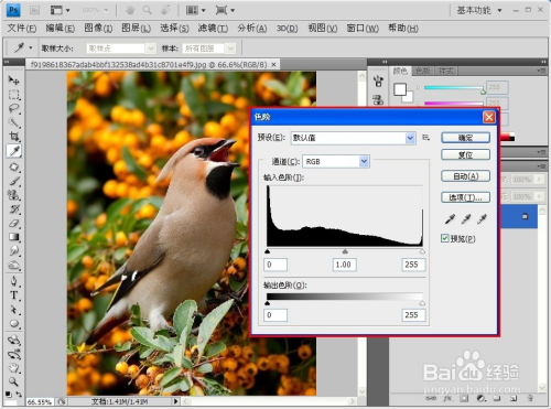 PS技巧大全：[13]