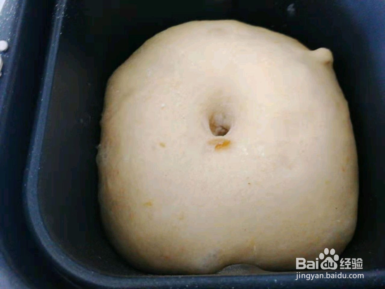 全麦软欧包的做法