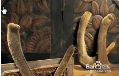 鹿茸如何保存？