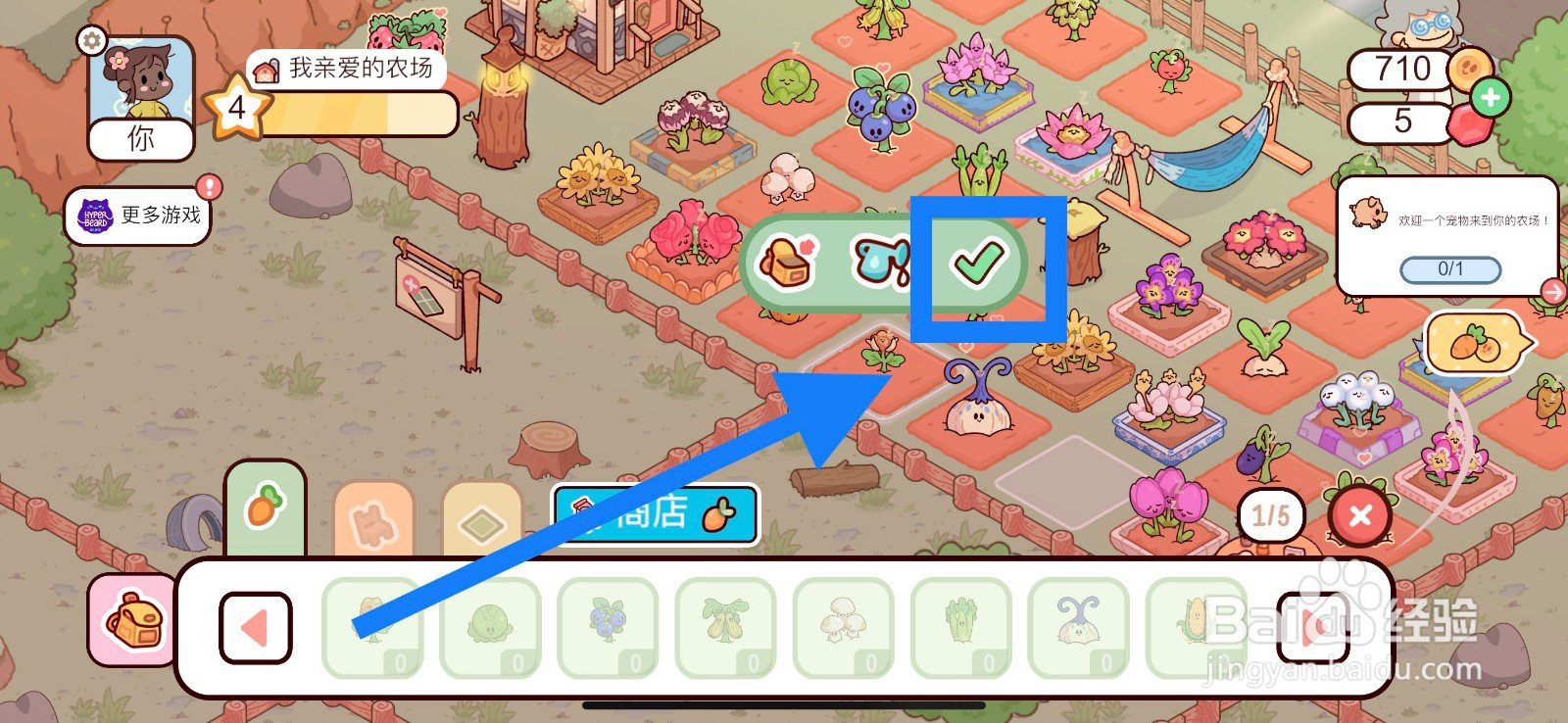 我亲爱的农场怎么在农场种植云莓？