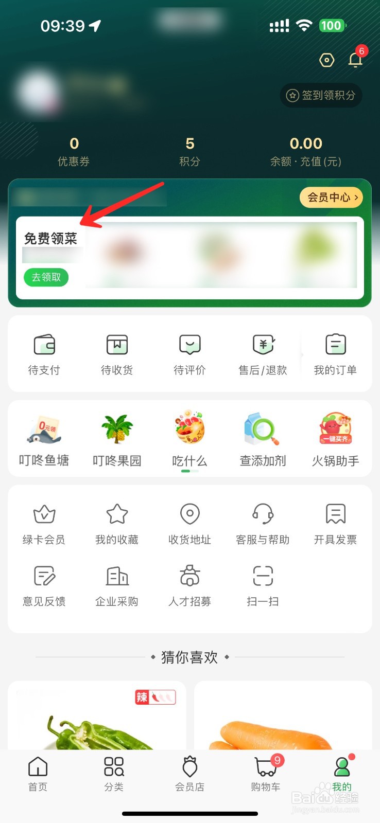 叮咚买菜会员免费领菜在哪里领