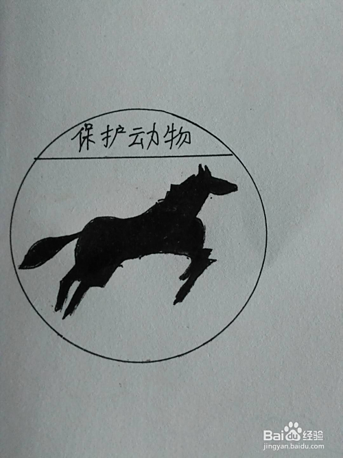 简笔画保护动物