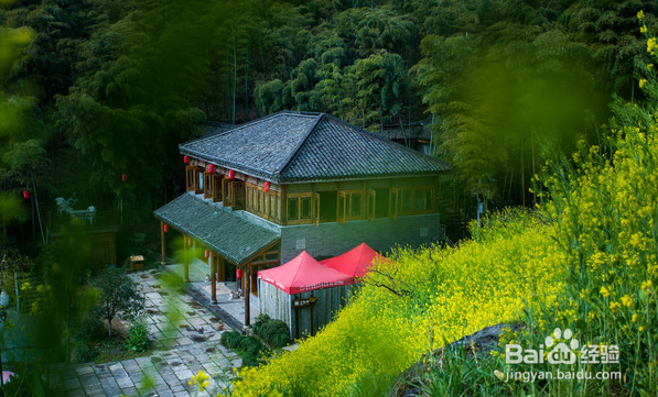 陶潜梦中神仙地，今日现实有妹来