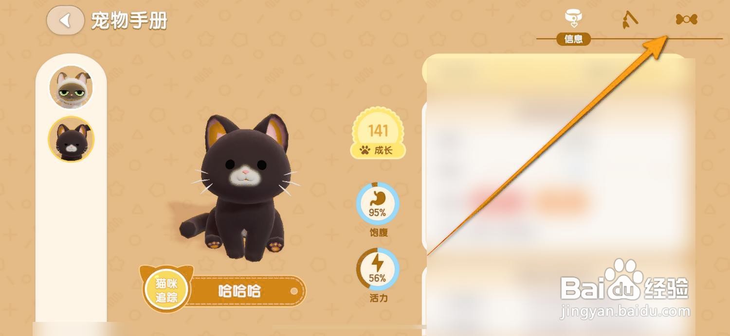 如何为心动小镇的猫咪进行装扮