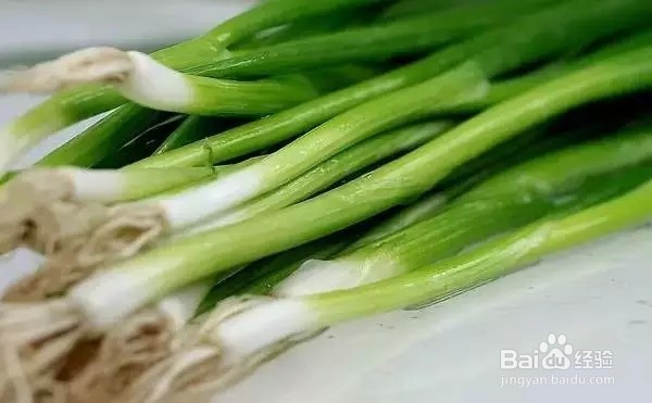 夏季驱蚊大法