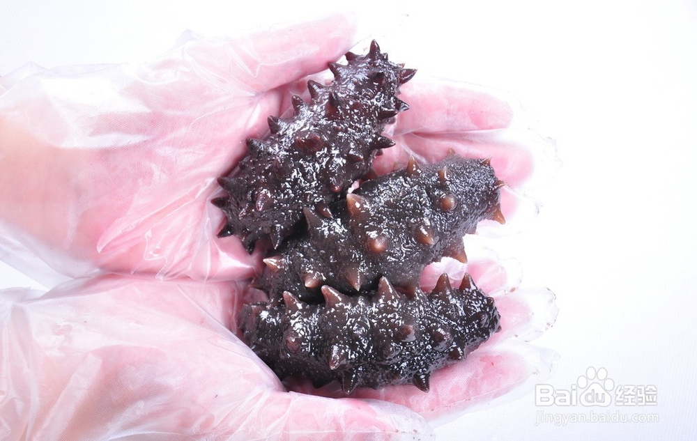 为什么你家的海参泡不大！