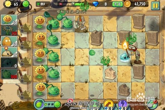 植物大战僵尸2中文版神秘埃及第六关：[1]一星