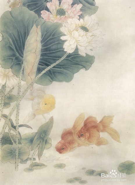 教画工笔荷花与金鱼