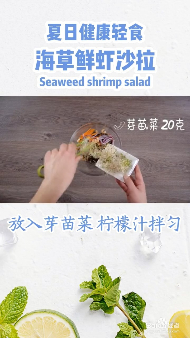 如何制作海草鲜虾沙拉