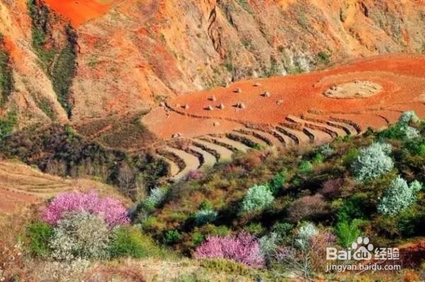 老司机带路,到东川红土地那些犄角旮旯的拍摄点