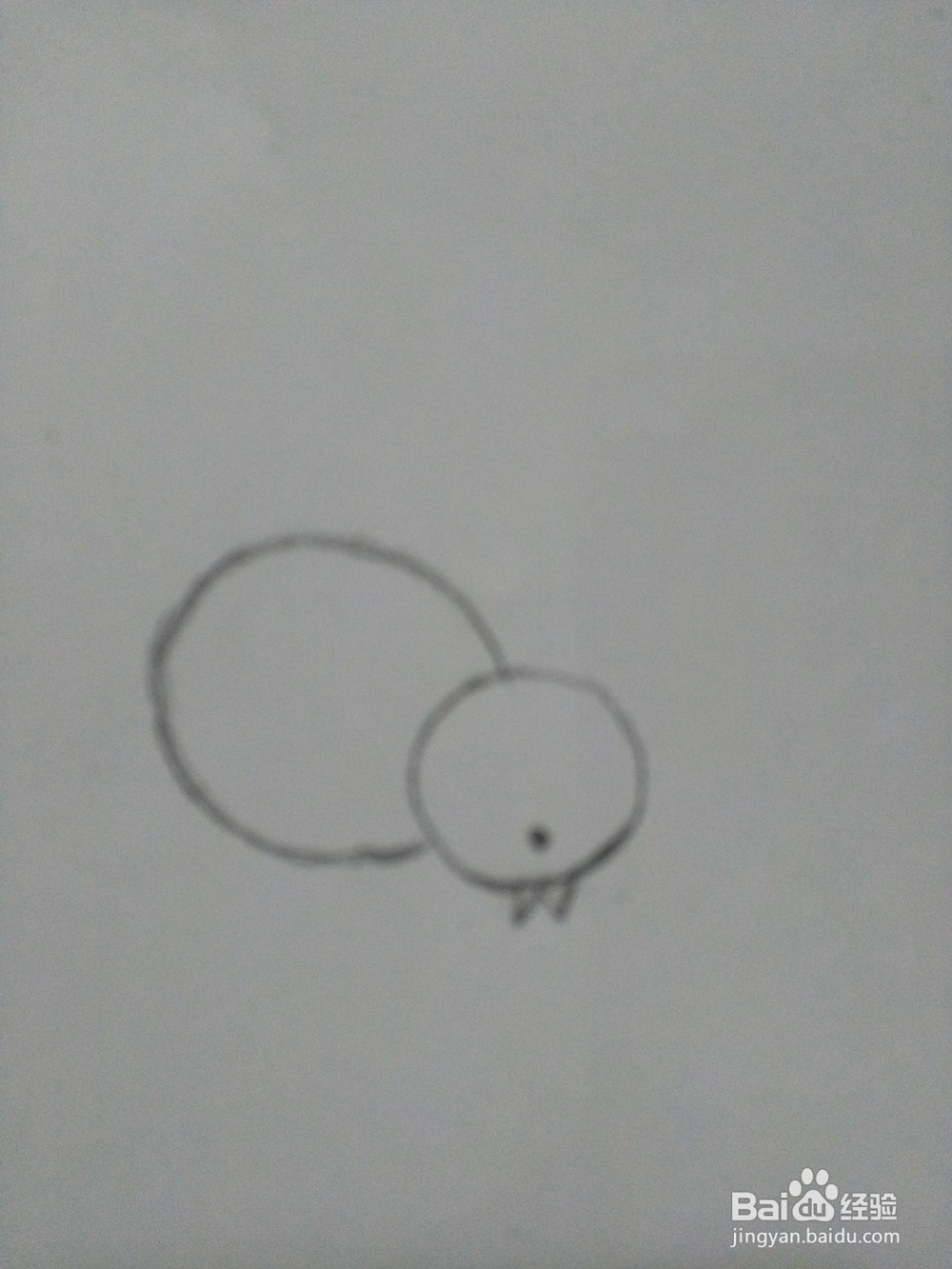 简笔画---小鸡和小鸭的画法
