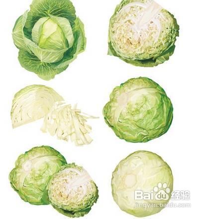 卷心菜煮汤喝可预防胃炎