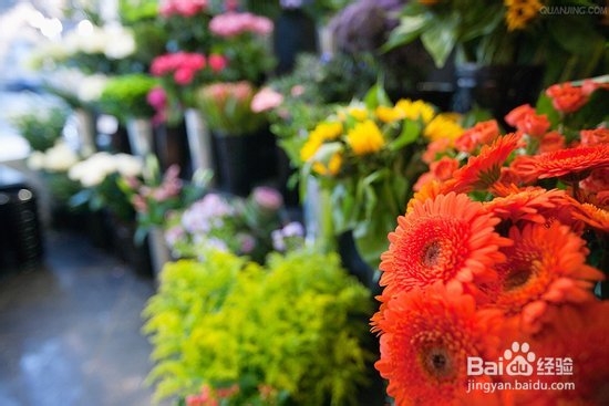 如何将香水发挥最优功效?