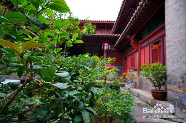 云南这个小县城盛产文人墨客 只为地下有一神物