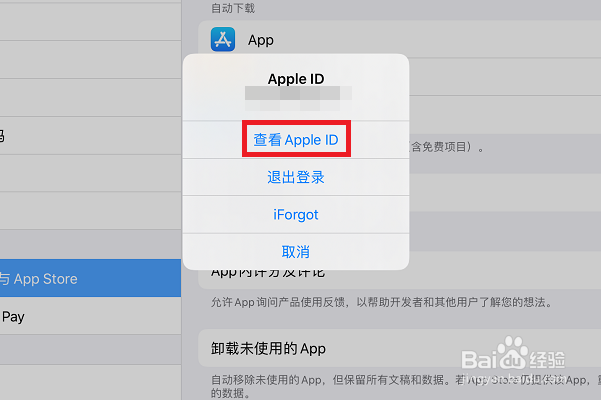 ipad怎么切换成中文商店