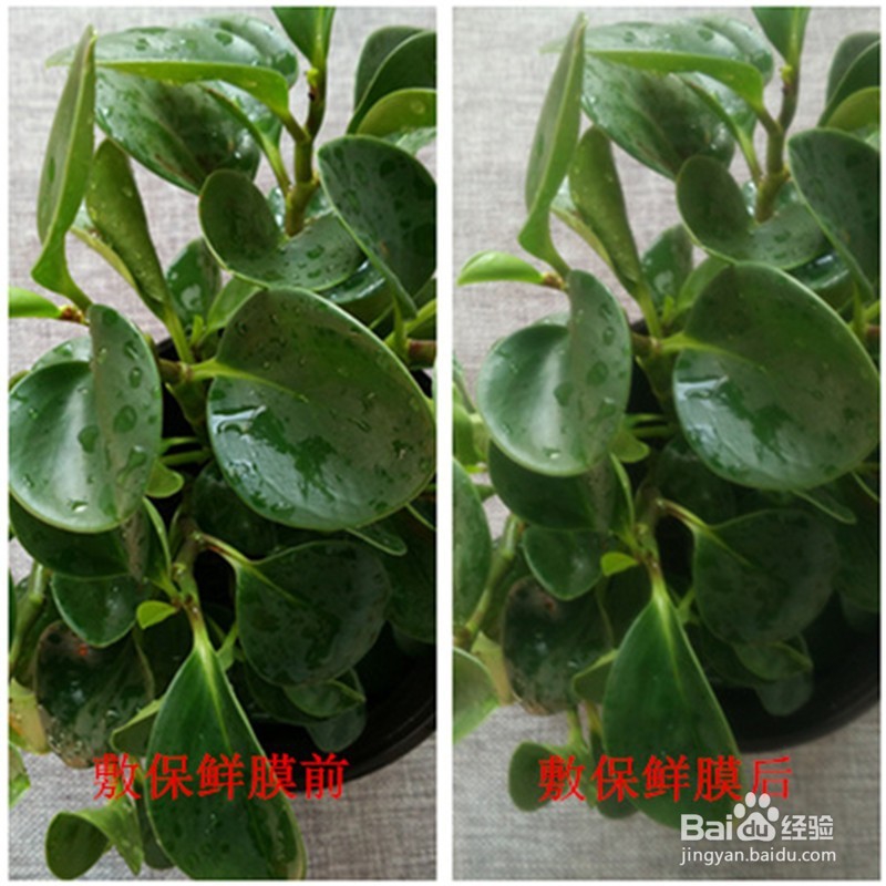保鲜膜的7大妙用，每一种都好到爆！