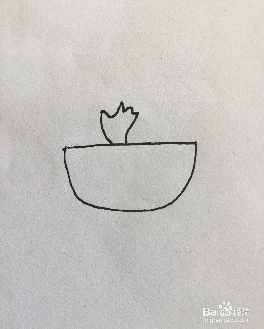 多肉植物简笔画4