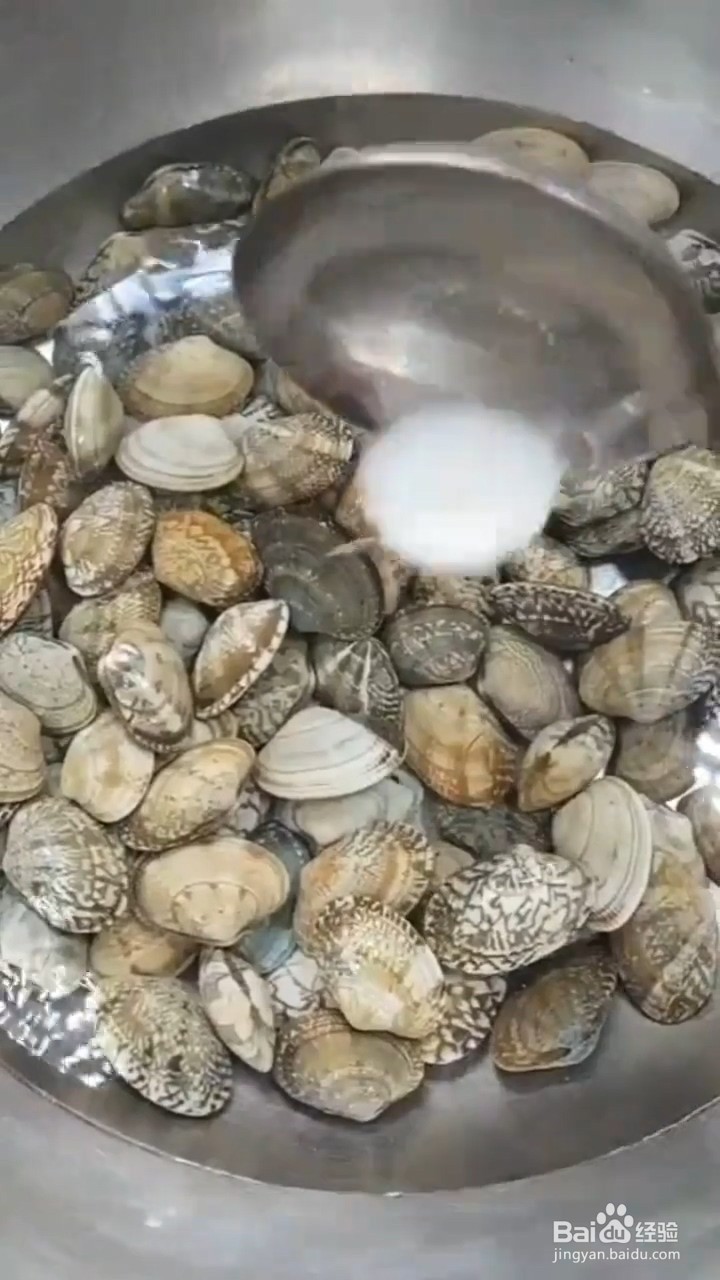 如何制作蒜香花蛤