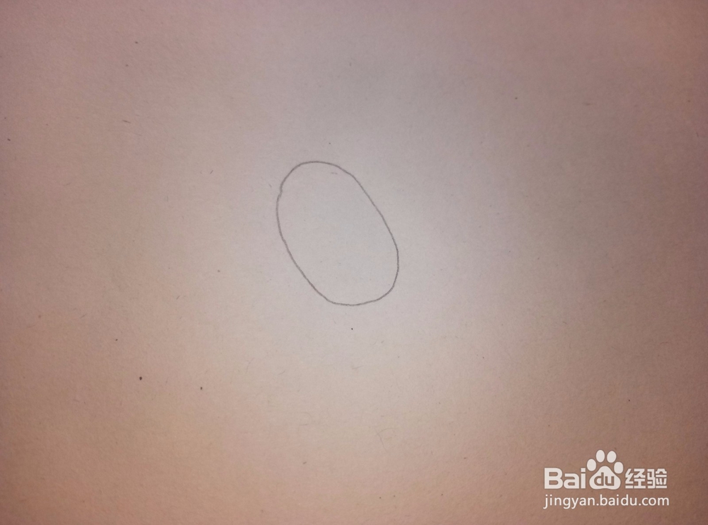 简笔画之——菠萝