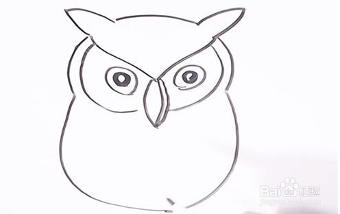 伴儿成长简笔画系列-怎样画猫头鹰简笔画