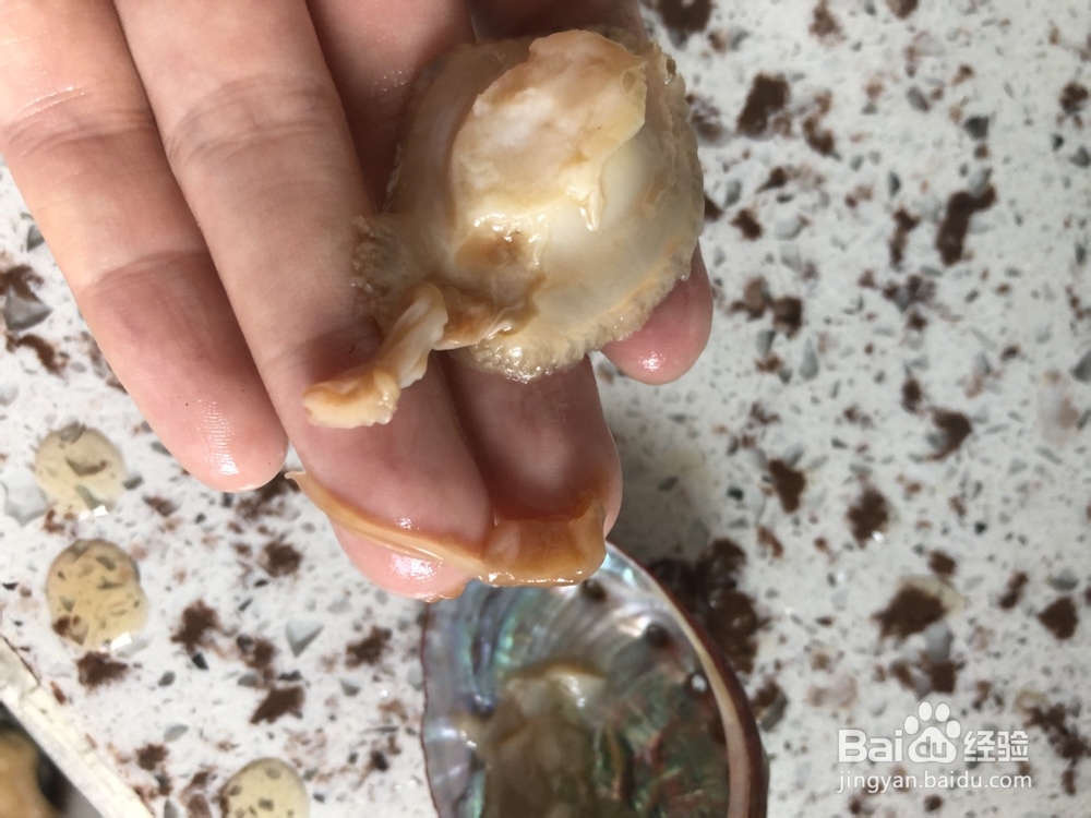 我给姐姐做鲍鱼