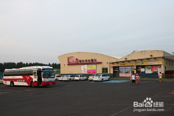 济州爱情乐园旅游攻略