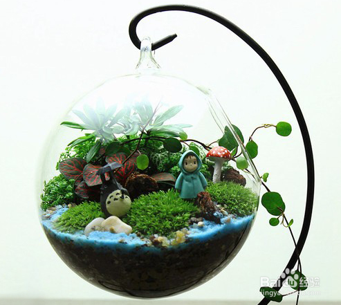 如何正确摆放盆栽