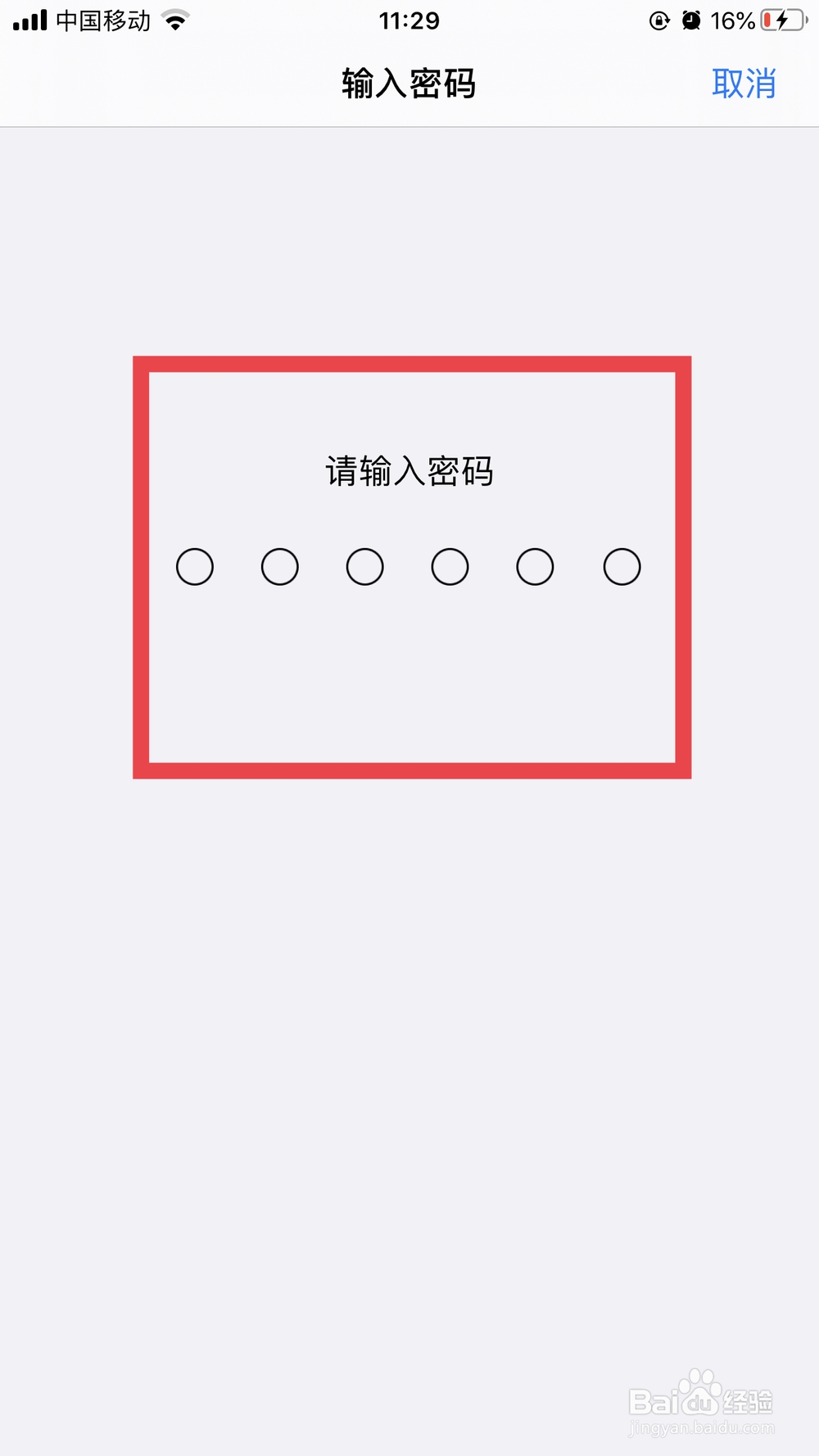 iphone11显示4g但上不了网怎么办