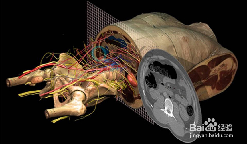 分身有术：神奇的全息技术——13