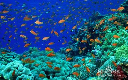 海南有哪些好玩的地方