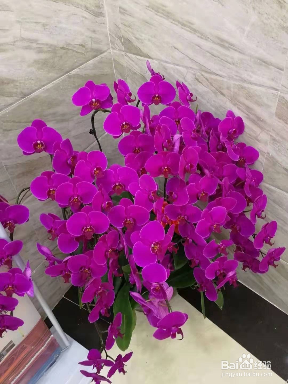 说出这三句话，情侣之间将永远不可能再复合？