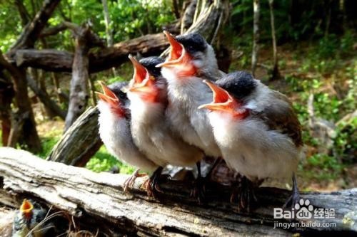 声乐学习哪里好？