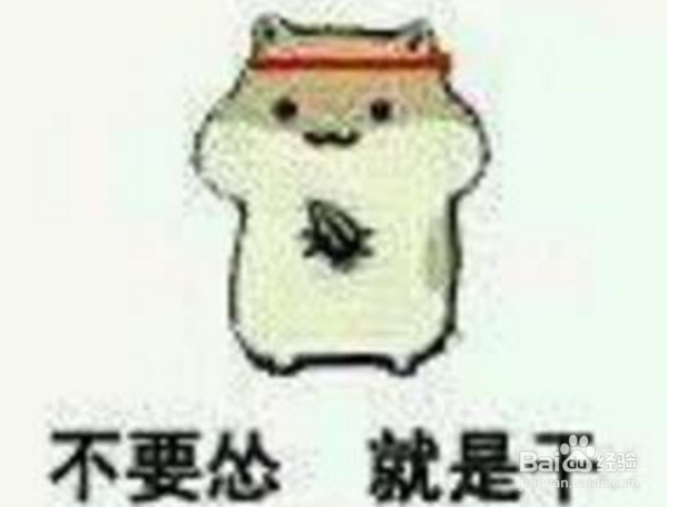 “怼”和“怂”的真正意义