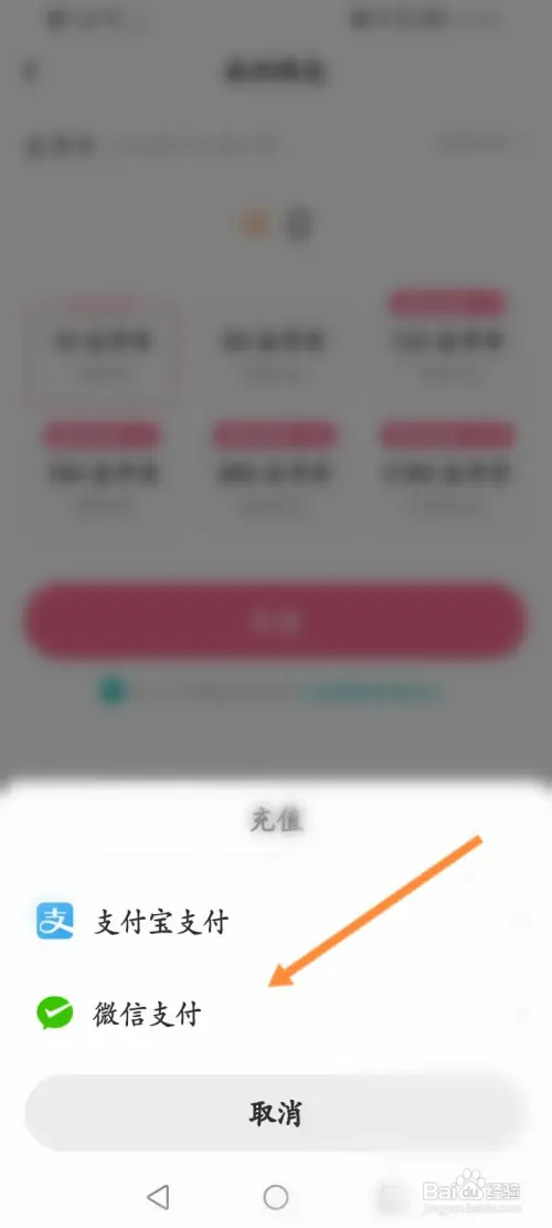 LOFTER软件怎样进行充值