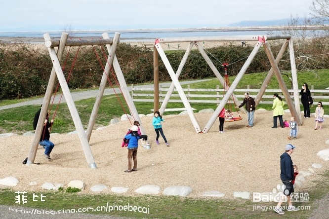 温哥华百万木头公园