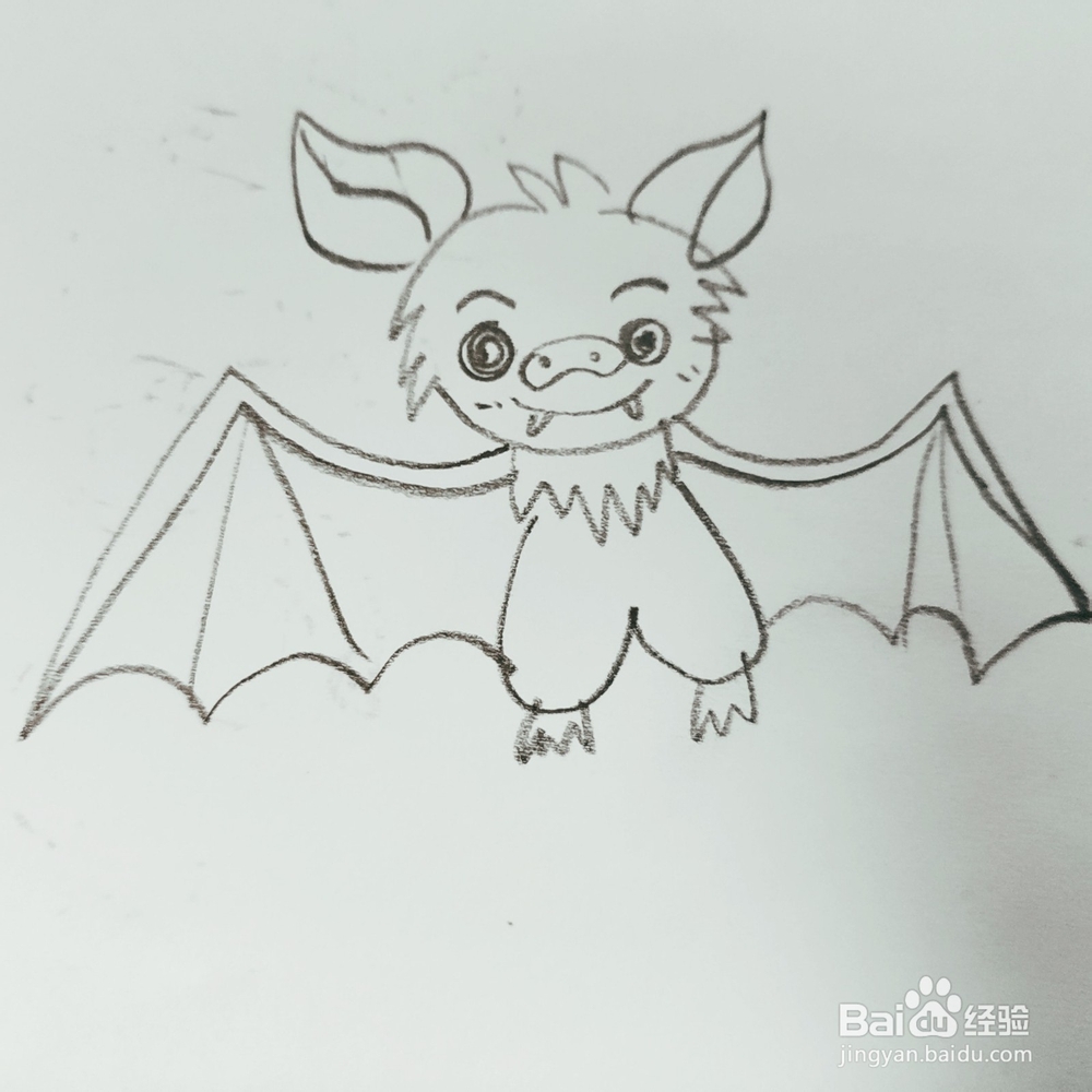 怎么来教幼儿画一只卡通蝙蝠简笔画?