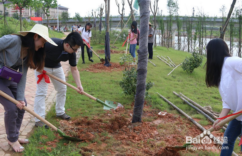 怎么制作企业公司清明节宣传文化栏目？