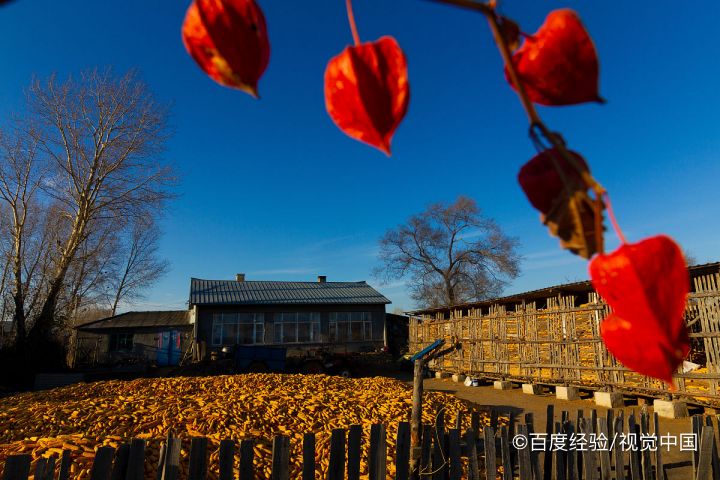 佳木斯漂流哪里最好玩