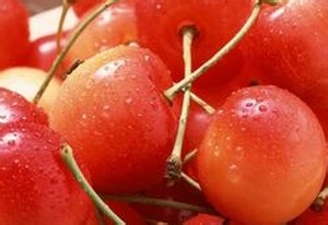 痛风的人吃鱼肉会怎么样