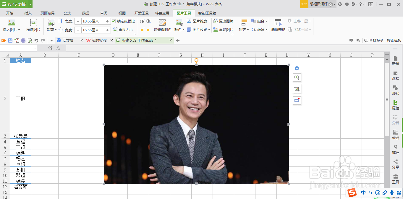 在WPS表格中，如何使图片随着单元格大小而变化