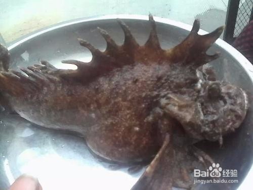 新手海钓注意事项