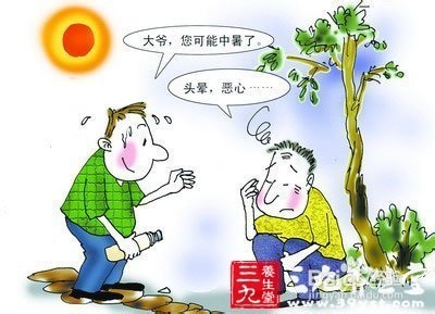 浙江男子中暑死亡 预防中暑死亡的6个误区