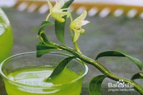 石斛兰的养殖方法及教程