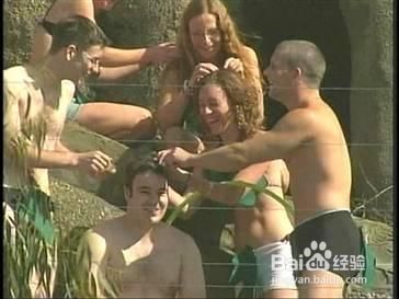 自然界智商最高的10大动物