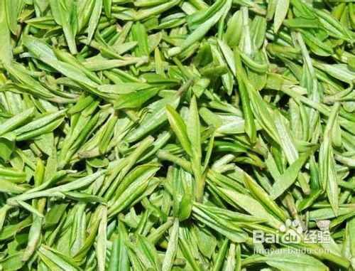 绿茶紧致面膜:美容瘦脸二合一