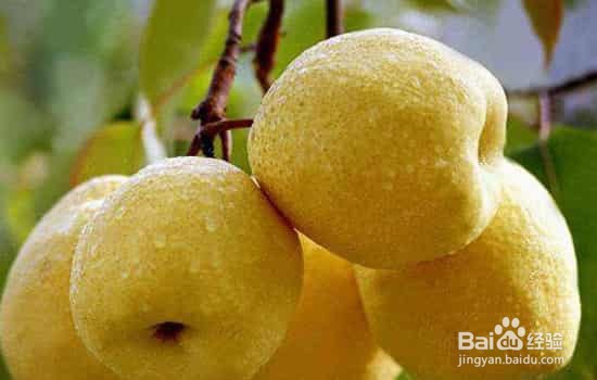 秋季饮食养生小常识