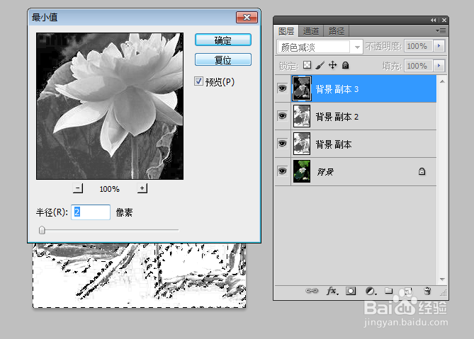 如何利用Photoshop制作水墨荷花