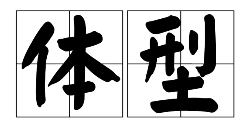 体型怎么填